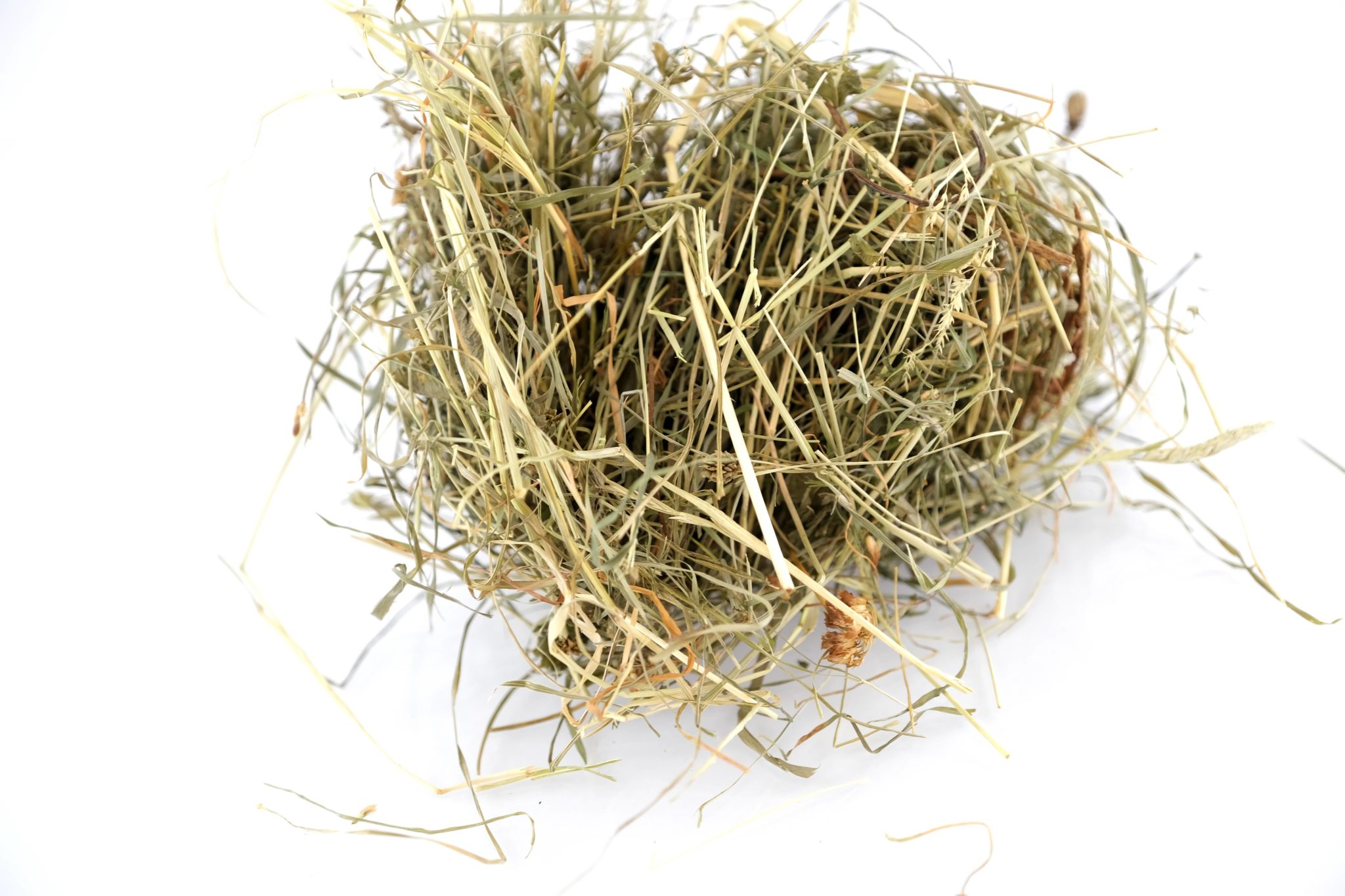 Foin bio pour lapins, cochons d